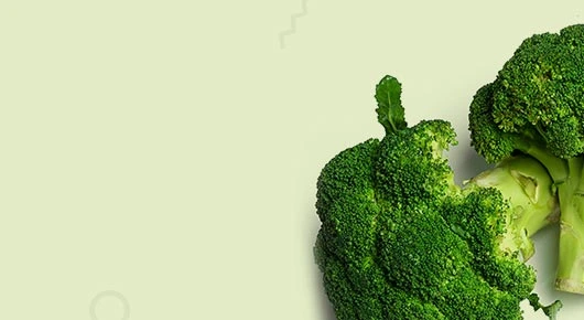 cms-banner1